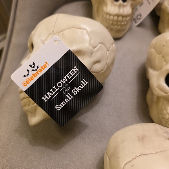 Way To Celebrate Set of Six Plastic Skull Decor Pieces Walmart 2025 Halloween - Picture 3 of 11